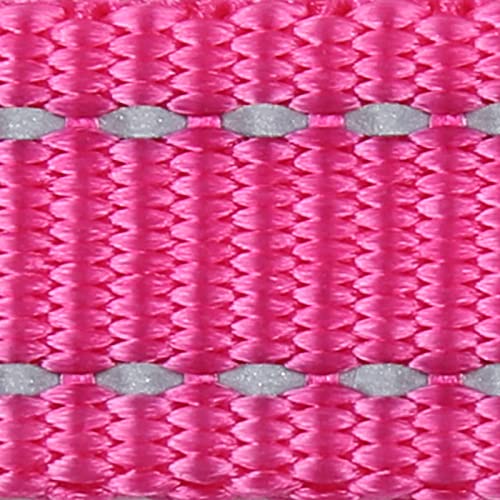 Pink with Carabiner Clip