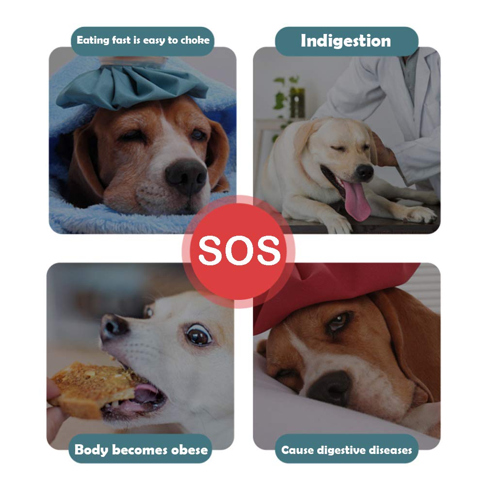 CAISHOW Slow Feeder Dog Bowl - Anti-Gulping Pet Food Dish for Healthy Eating, Bloat Prevention & Mental Stimulation - Non-Slip Interactive Design for Small & Medium Dogs - Perfect for Fast Eaters, Mealtime Enrichment & Portion Control