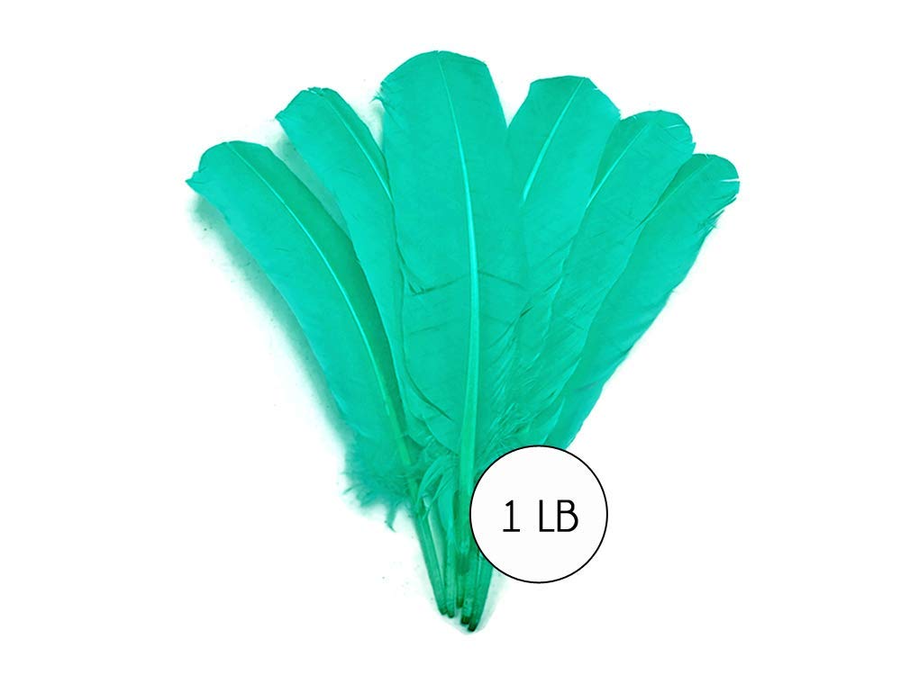 1 Lb. Bulk Aqua Green Turkey Tom Rounds Secondary Wing Quill Feathers for Halloween Crafts, DIY Costumes & Home Decor | Wholesale Craft Supplies by Moonlight Feather