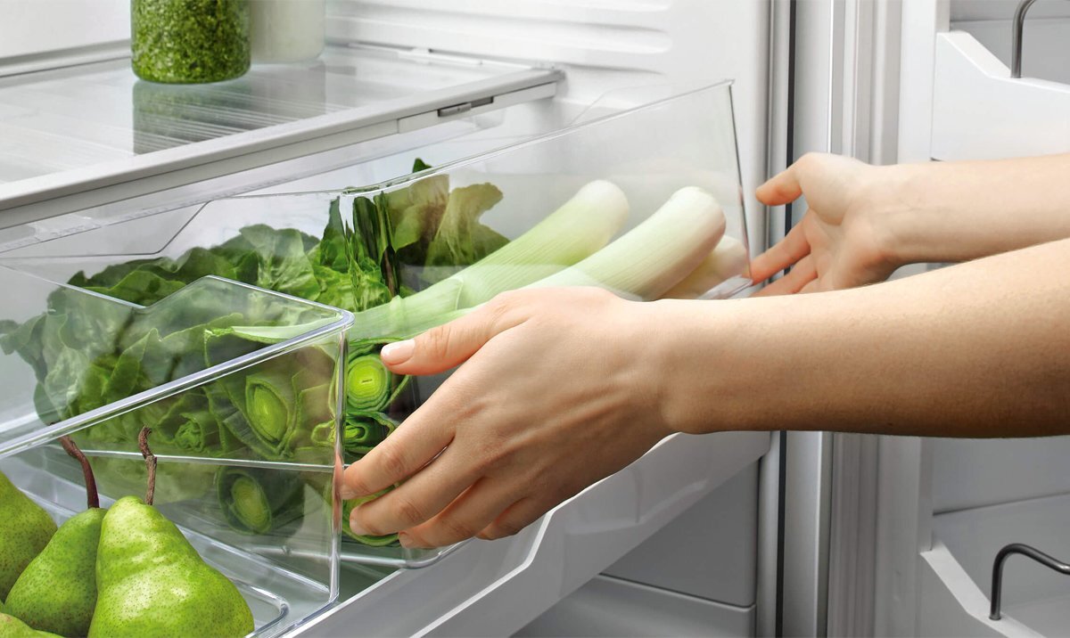 Fisher & Paykel Series 5 494L Bottom Mount Refrigerator - Stainless Steel Left Hinge RF522BLPX6 - Energy Efficient French Door Fridge for Modern Kitchen & Family Use