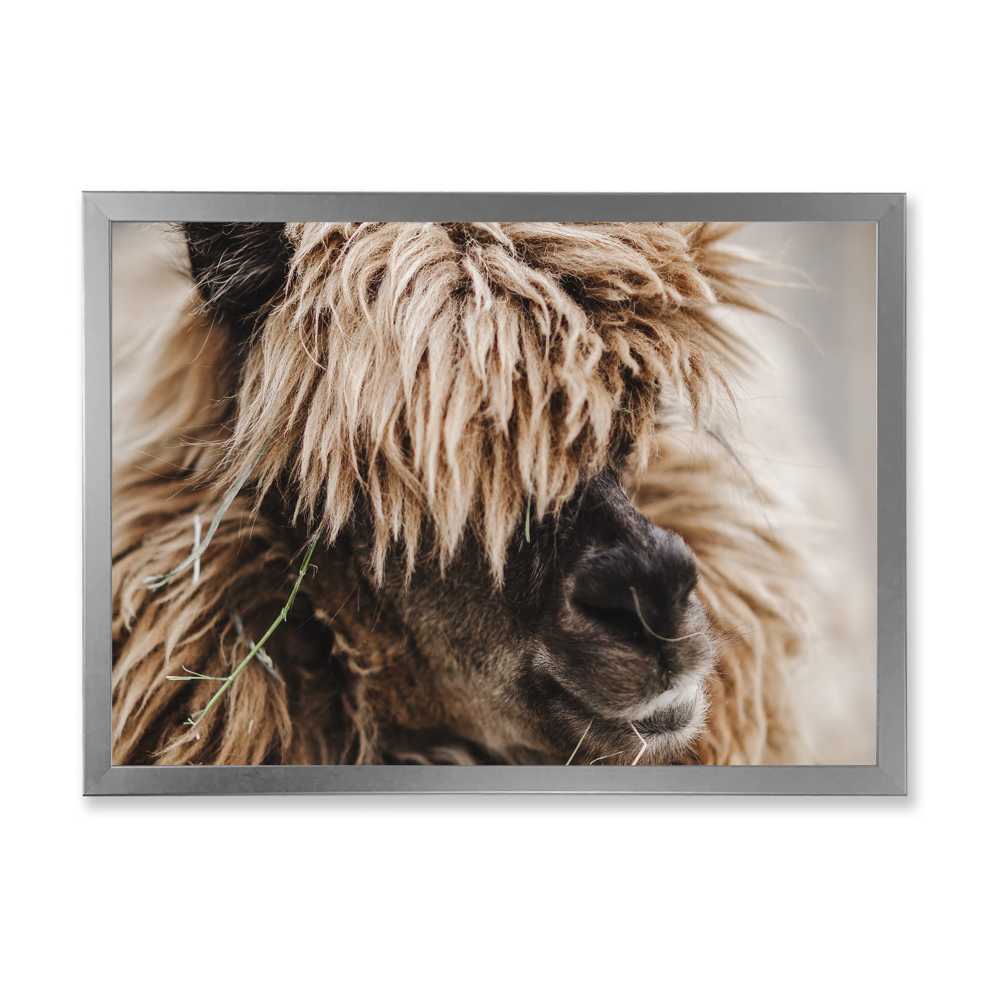 Fluffy Curly Alpaca Portrait - Farmhouse Style Framed Wall Art Decor for Living Room, Bedroom & Nursery