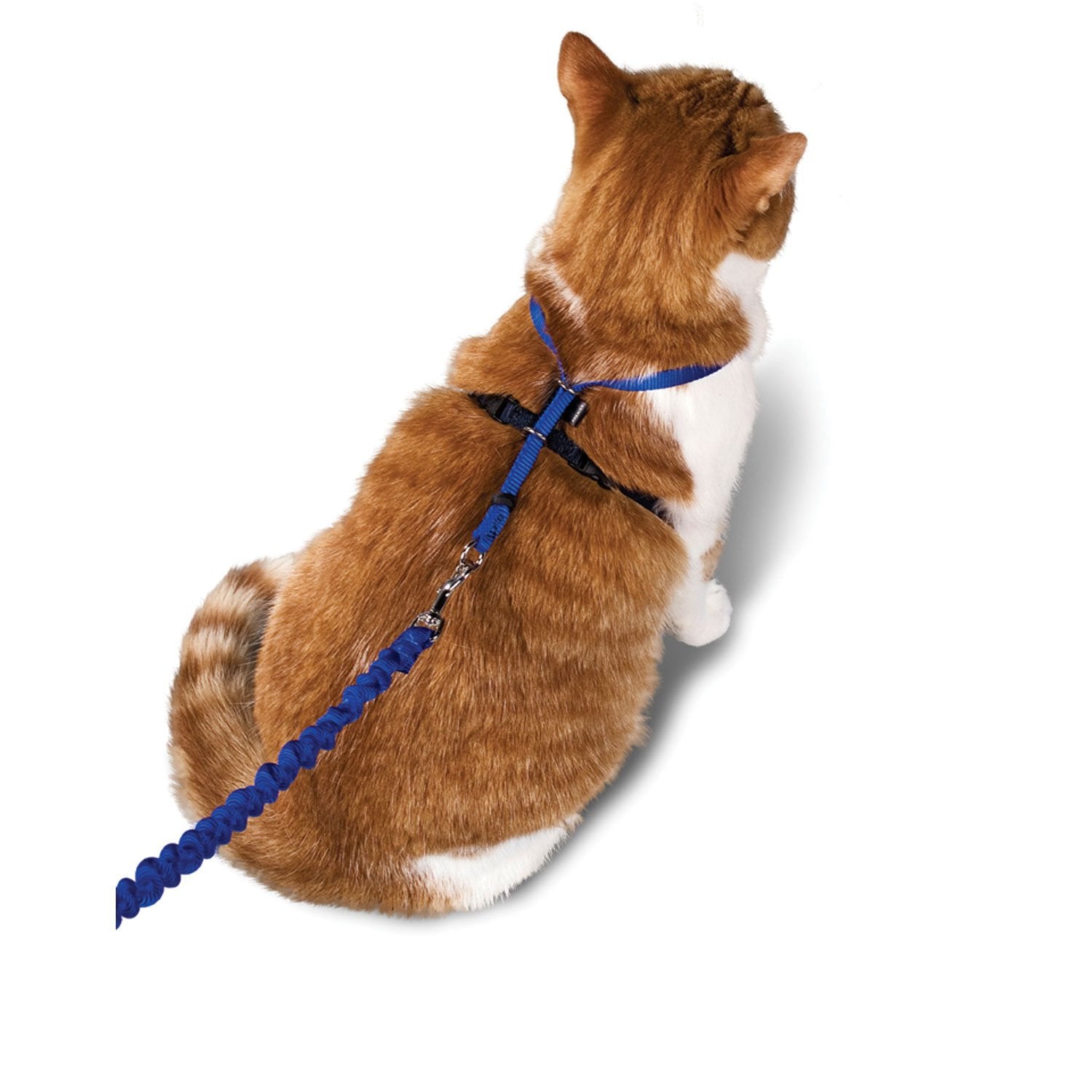 Come With Me Kitty Cat Harness and Bungee Leash Set - Adjustable Pet Safety Vest for Indoor/Outdoor Adventures