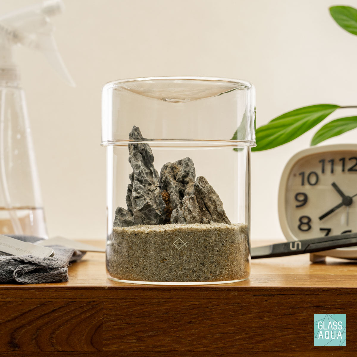 Miniature Terrarium Kit for Home Decor - DIY Glass Garden with Succulents & Air Plants - Perfect for Office Desk, Living Room, or Gift Giving