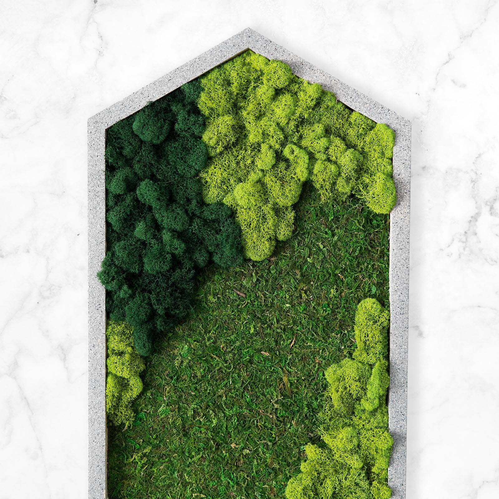 Hexagon Moss Wall Art - Modern Geometric Green Plant Decor for Living Room, Bedroom & Office - Eco-Friendly Home Decor & Unique Gift Idea