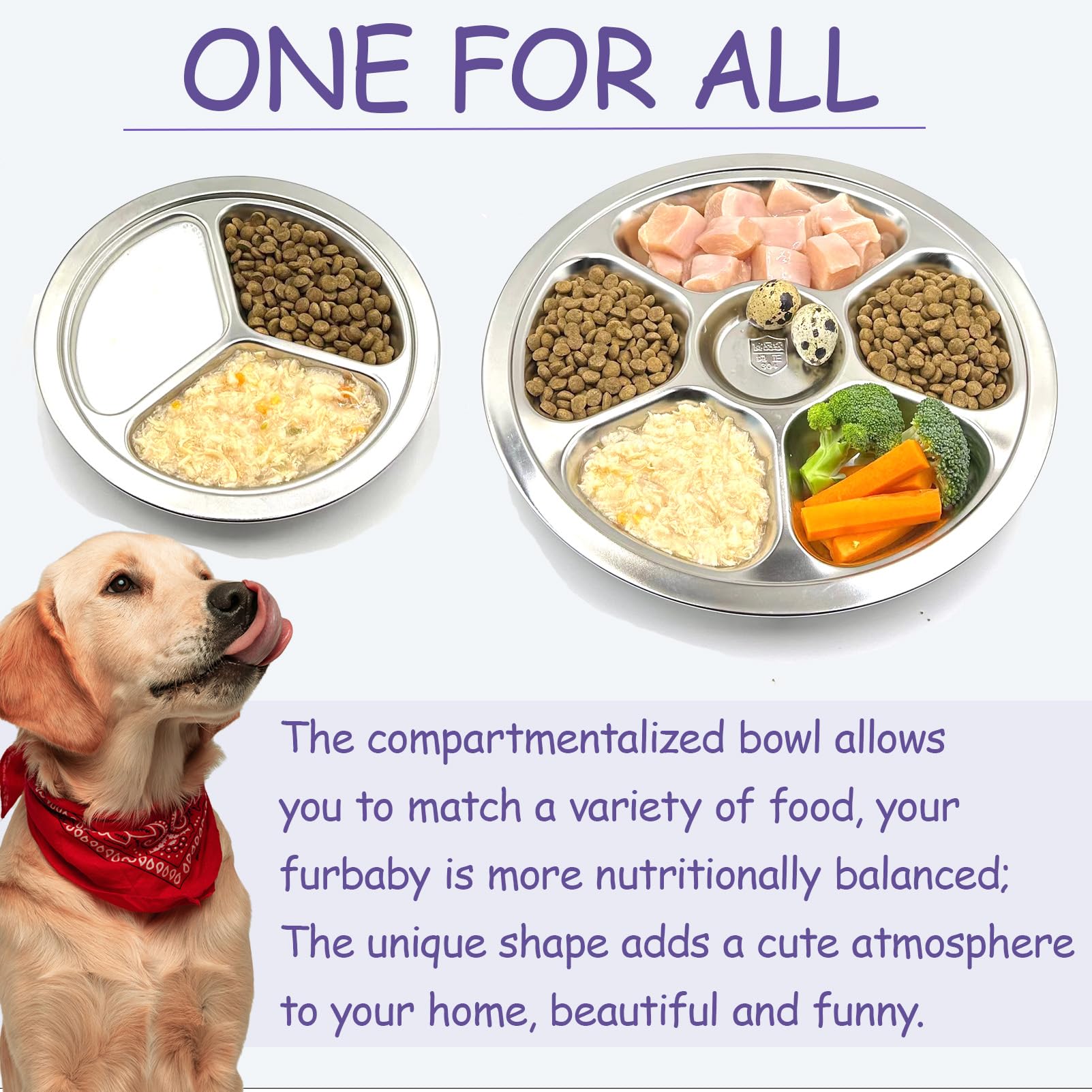 6 in 1 Stainless Steel Dog Bowl Set - 3 Cup Slow Feeder & Food Grade 18/8 Steel Pet Dish - Non-Slip Mat & Dishwasher Safe - Perfect for Mealtime & Portion Control for Dogs