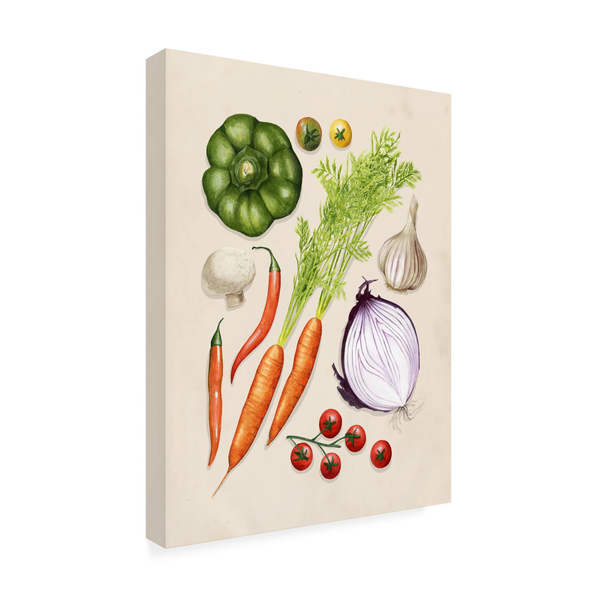 Grace Popp Vegetable Garden II Canvas Art Print - Modern Floral Wall Decor for Living Room, Bedroom & Office - Trademark Fine Art Collection