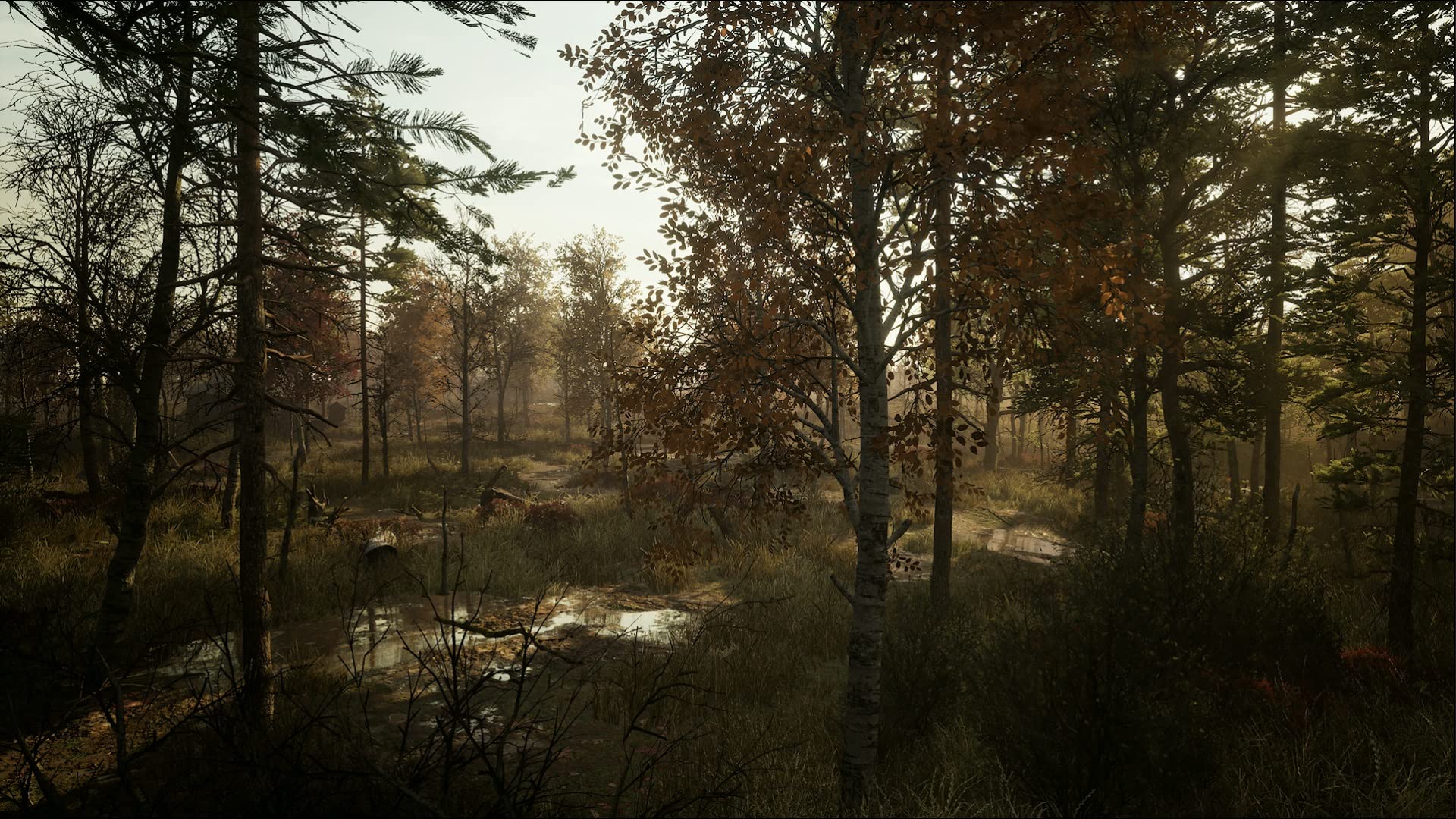 Chernobylite - Survival Horror Game for PS5 | Post-Apocalyptic Adventure | Explore Pripyat & Solve Mysteries | Perfect for Fans of Sci-Fi & Thriller Games
