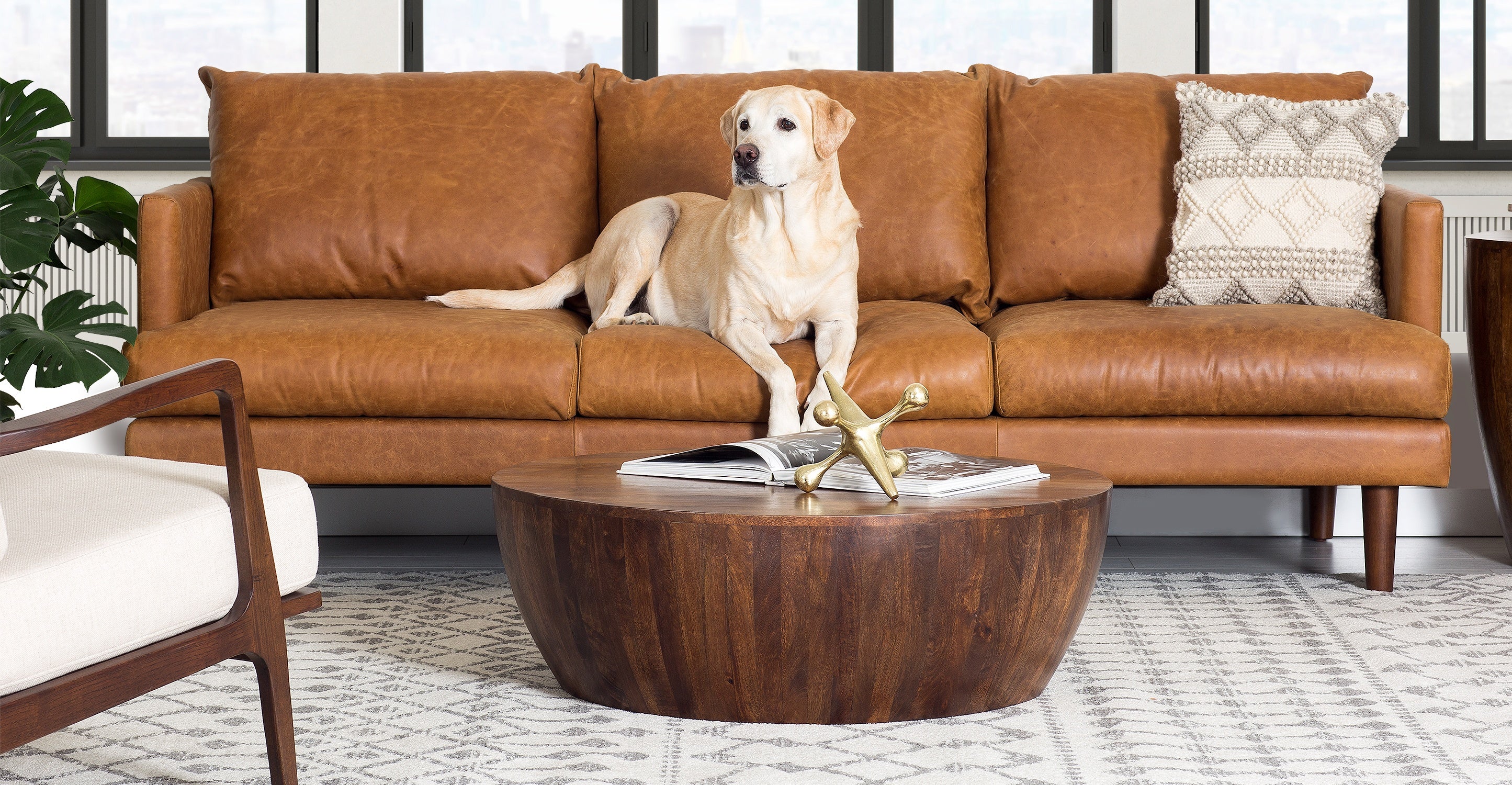 Modern Goa Coffee Table - Solid Wood Living Room Furniture for Home Decor - Perfect for Living Room, Lounge, or Office Use