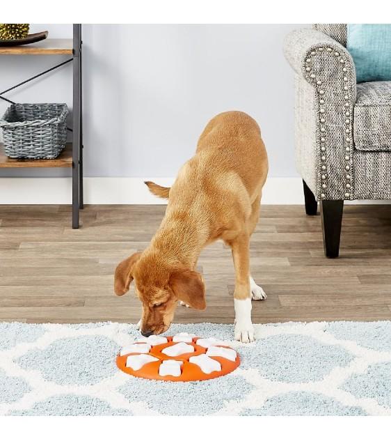 Outward Hound Nina Ottosson Dog Smart Interactive Puzzle Toy for Dogs - Mental Stimulation & Treat Dispenser - Perfect for Boredom Busting & Training (25% OFF) - Great for Indoor Play, Crate Time & Solo Entertainment