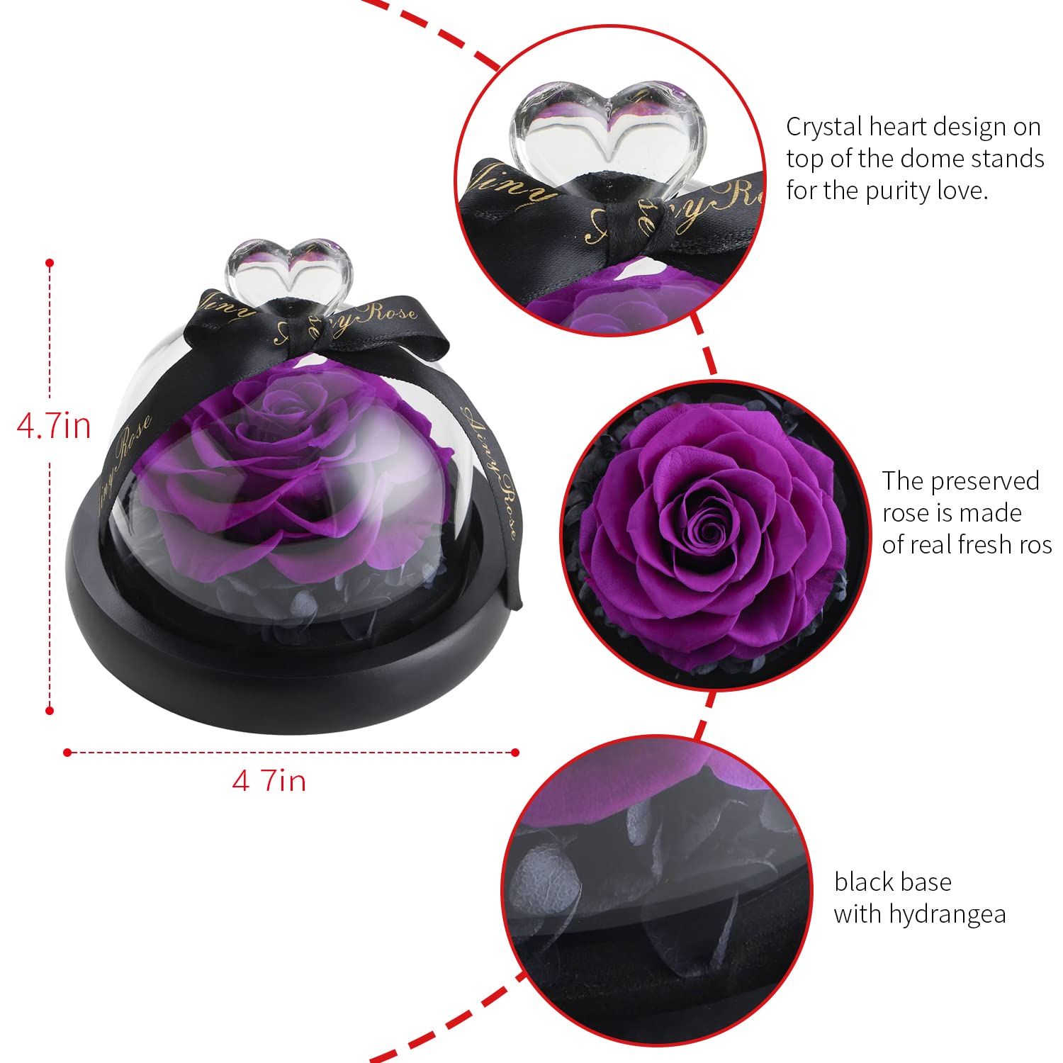 Forever Preserved Real Rose in Glass Dome - Eternal Rose Gift for Women, Birthday, Valentine's Day, Mother's Day, Christmas & Anniversary - Beautiful Heart Design Home Decor for Bedroom, Office & Wedding Centerpiece