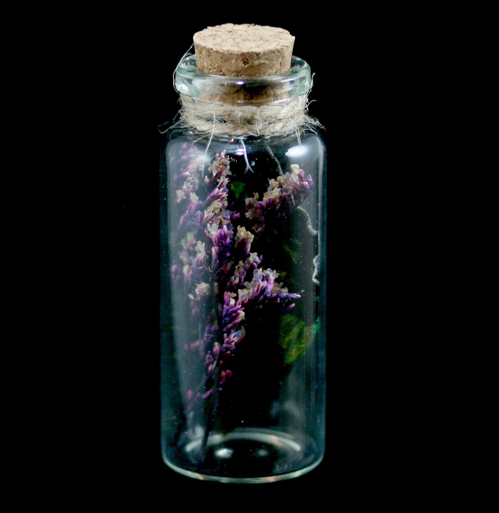 Butterfly Wing in Glass Bottle - Unique Decorative Collectible for Home, Office & Gift Giving - Perfect for Nature Lovers & Science Enthusiasts