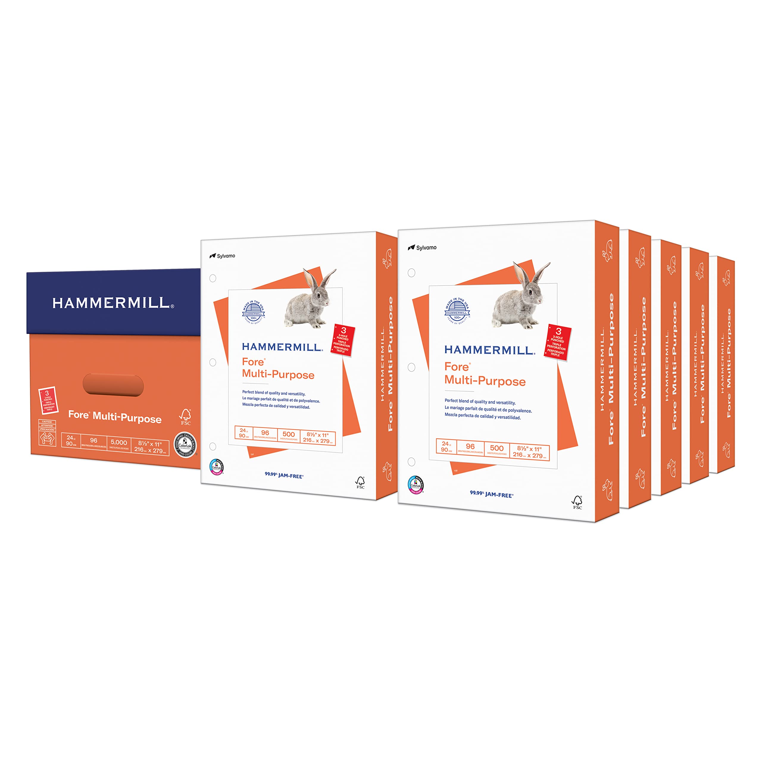 Hammermill 24 lb Multipurpose Copy Paper - 10 Ream (5,000 Sheets) - 3 Hole Punched, 96 Bright, Made in USA - Ideal for Office Printing, School Projects & Home Office Use