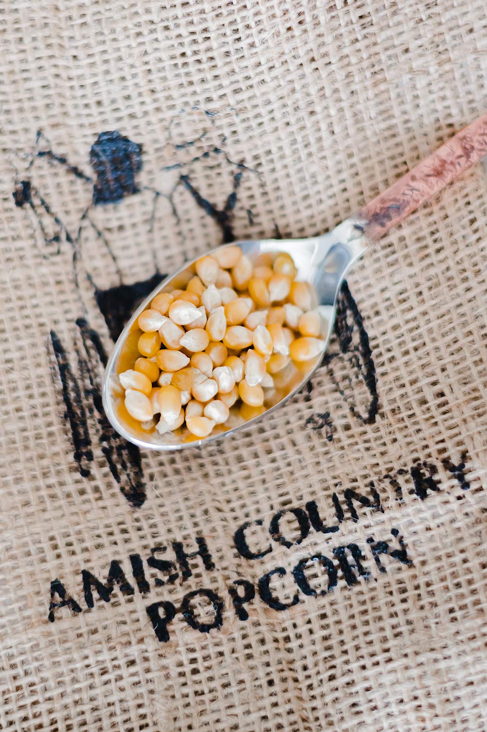 Amish Country Popcorn - 50 LB Bag of Premium Baby Yellow Popcorn | Old Fashioned, Non-GMO, Gluten Free | Perfect for Movie Nights, Snacking & Bulk Food Storage