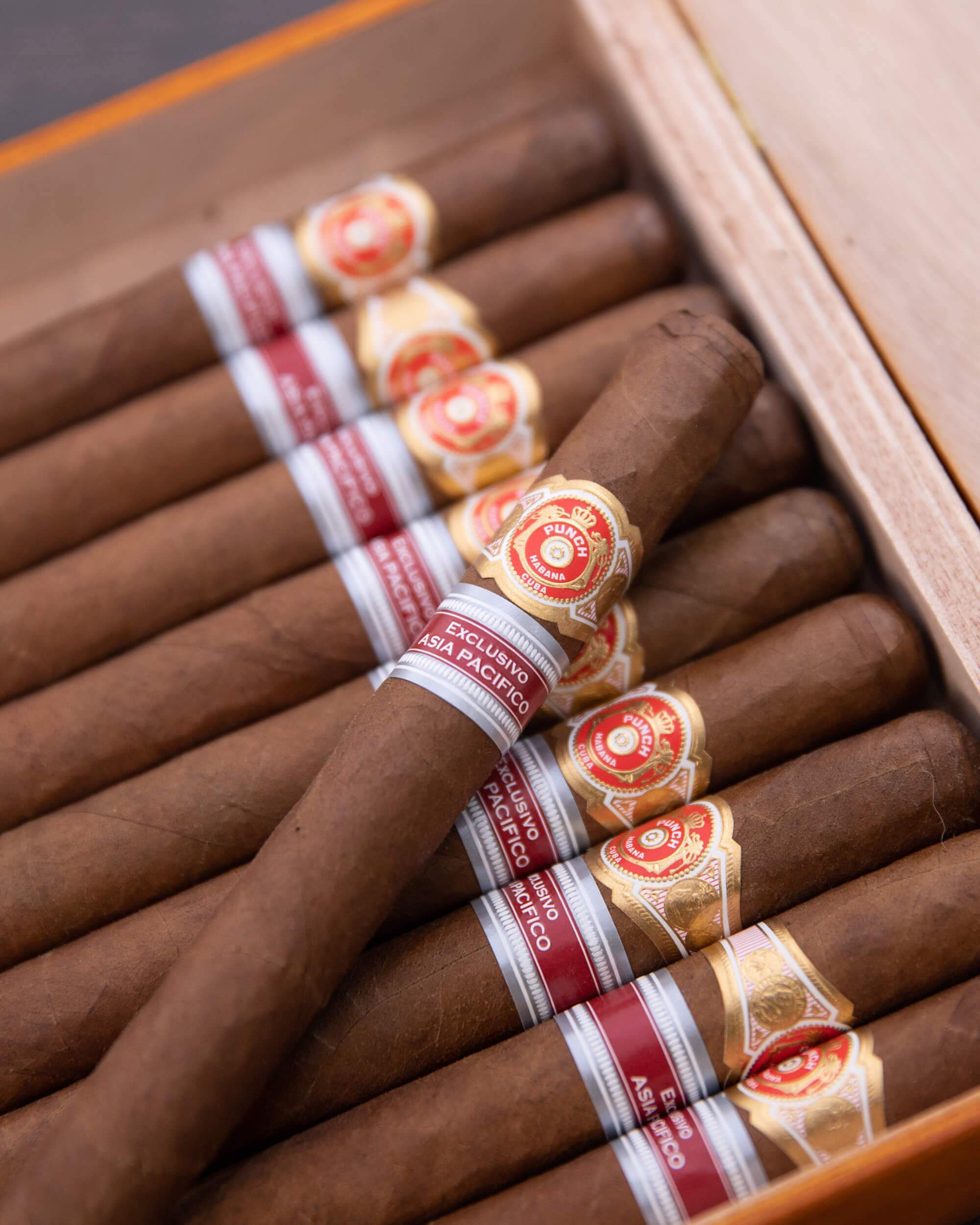 Punch 8 9 8 Asia Pacific Regional Edition 2018 - Premium Cigar for Special Occasions & Gifting