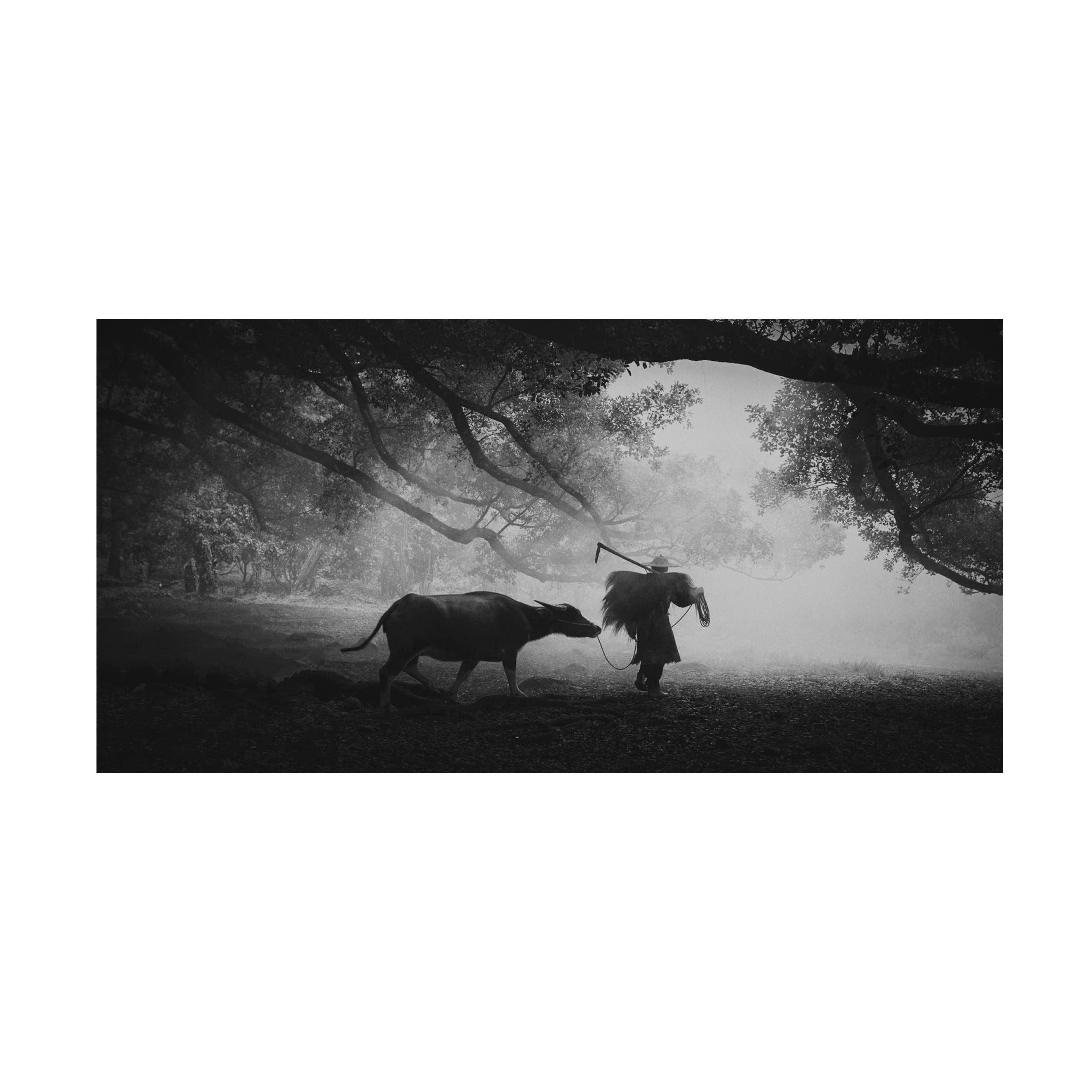 Ahmed Abdulazim 'Synergy' Canvas Wall Art Print - Modern Abstract Painting for Living Room, Bedroom & Office Decor | Trademark Fine Art Collection