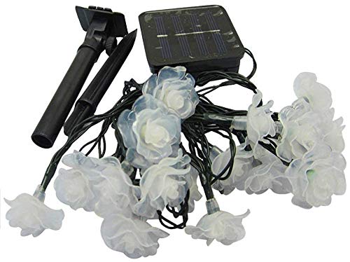 Solar Powered 20 LED Rose Flower String Lights - Waterproof Outdoor Fairy Lights with 2 Modes for Garden, Pathway, Wedding & Party Decor (Rose-Purple) | Perfect for Backyard, Patio, Christmas & Holiday Lighting