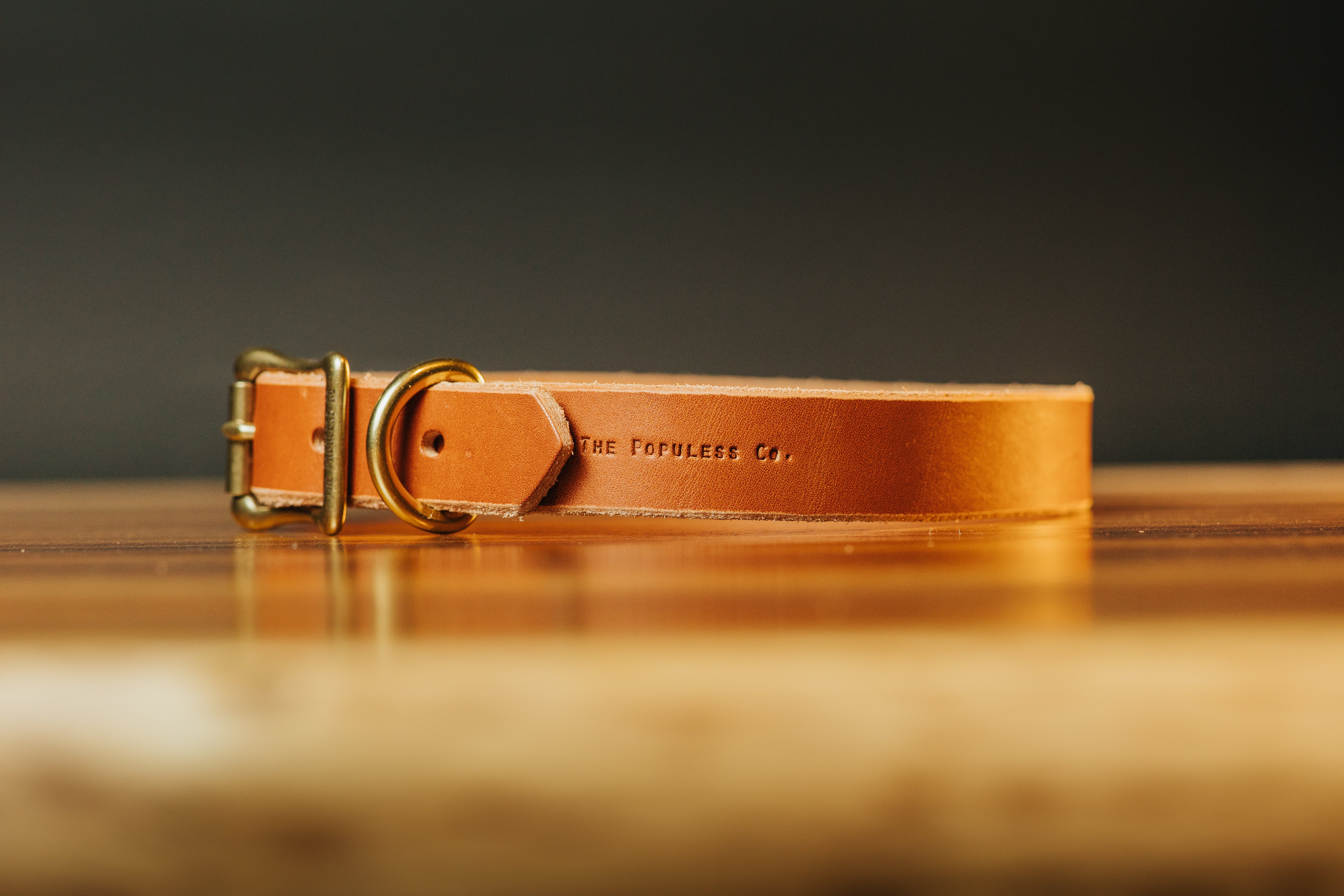 Premium The Marv Dog Collar - Durable Rio Latigo Leather Pet Collar for Medium & Large Dogs - Adjustable & Stylish for Walking, Training & Outdoor Adventures