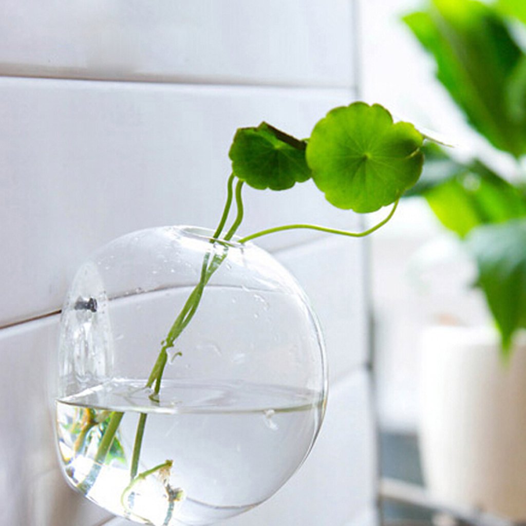 Clear Glass Hanging Wall Vase for Plants and Flowers - Modern Home & Garden Decor - Perfect for Succulents, Air Plants, and Floral Arrangements in Living Rooms, Kitchens, and Outdoor Spaces