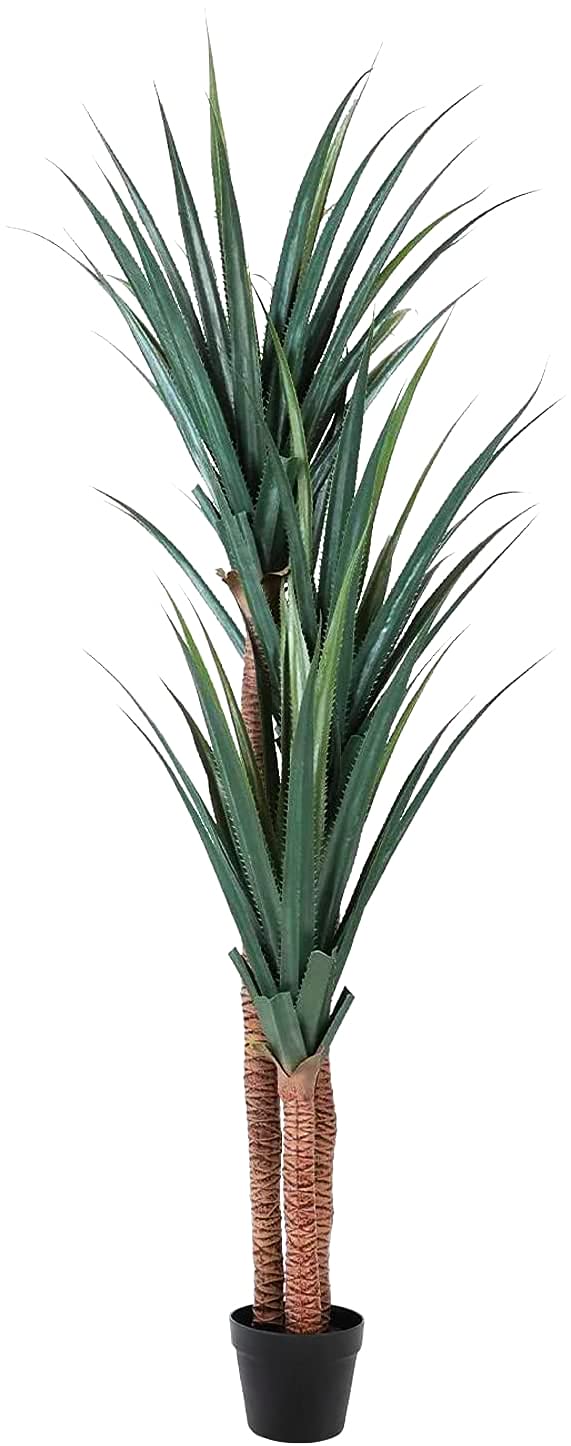 Worth Garden 6ft Artificial Yucca Tree - Realistic Tropical Dracaena Silk Plant for Indoor & Outdoor Decor (70in Tall, UV Resistant, Includes Black Pot & 20g Dry Moss) - Perfect for Living Rooms, Offices, Patios & Garden Landscaping
