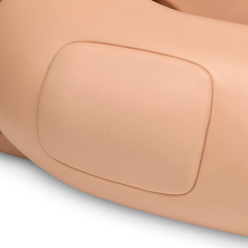 CPR Susie® Advanced Patient Care Simulator - Lifelike CPR Training Manikin for Medical Professionals & Students | Perfect for Emergency Response Training & First Aid Certification Courses