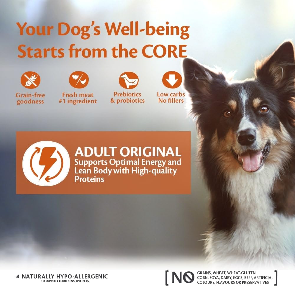 Wellness CORE Natural Grain-Free Dry Dog Food for Medium Breed Adults - High Protein Chicken & Turkey Recipe (10kg) - All-Natural Nutrition with No Added Sugar - Perfect for Active Dogs & Daily Meals