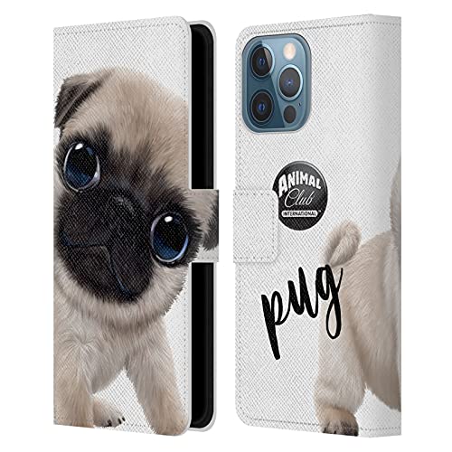 Pug