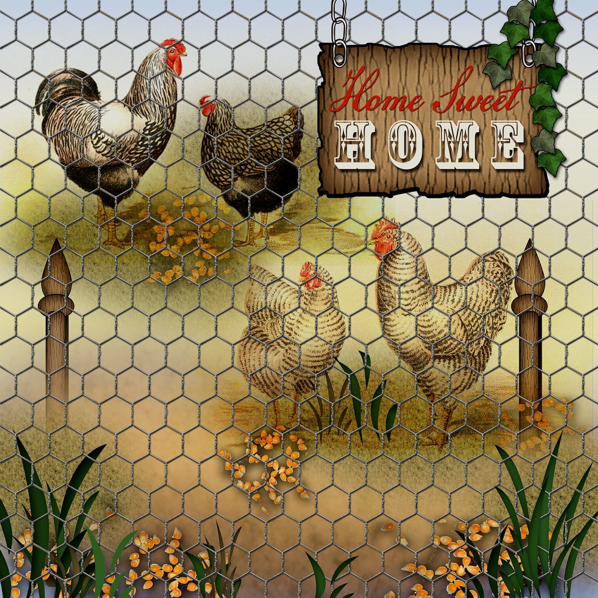 Home Sweet Home Chickens and Roosters Bumper Sticker - Durable Car Decal for Vehicles, Laptops & Windows - Perfect for Farmhouse Decor, Chicken Lovers & Country Style