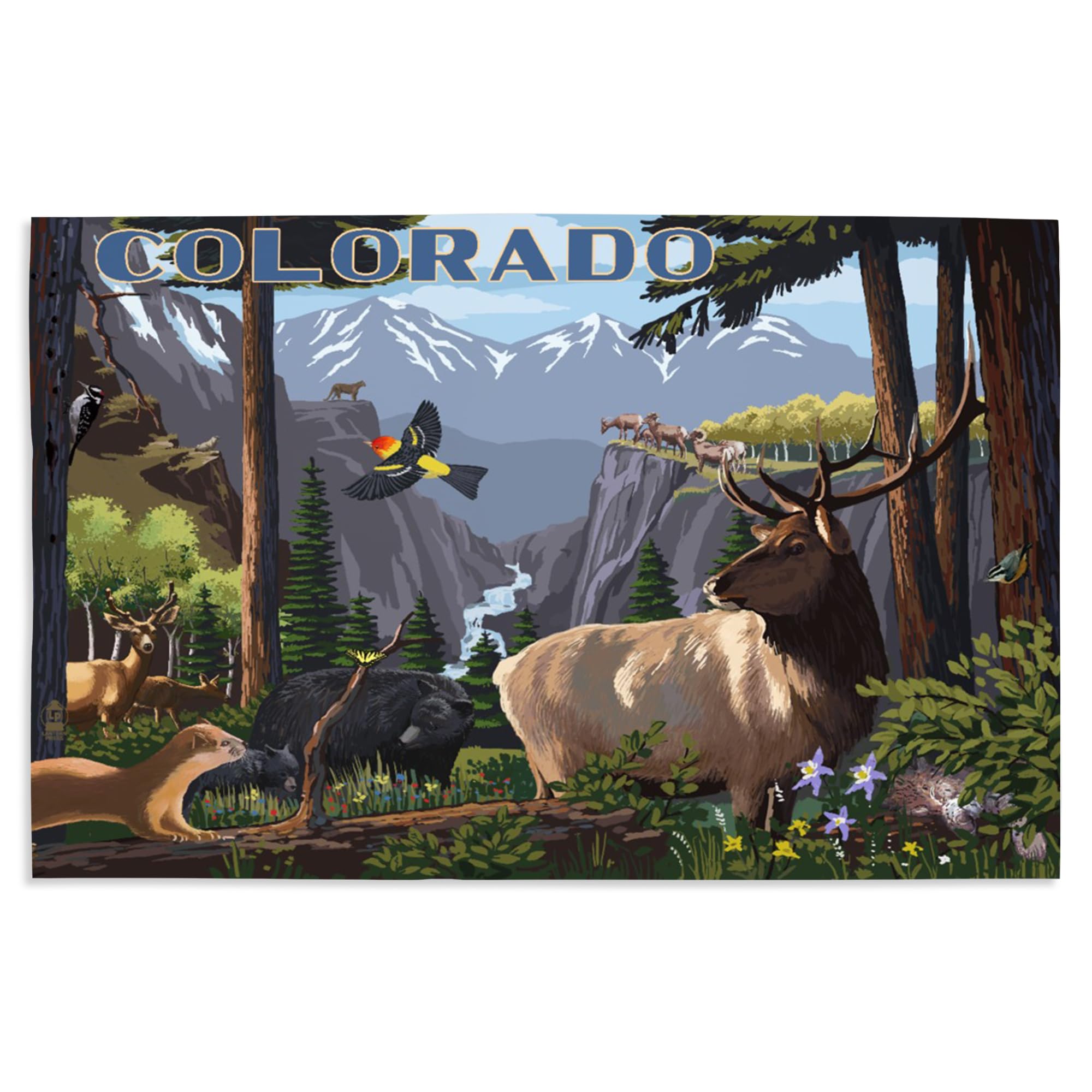 Lantern Press 16x24 Inch Giclee Art Print - Colorado Wildlife Landscape Wall Decor for Home & Office | Perfect for Living Room, Bedroom or Cabin Decor