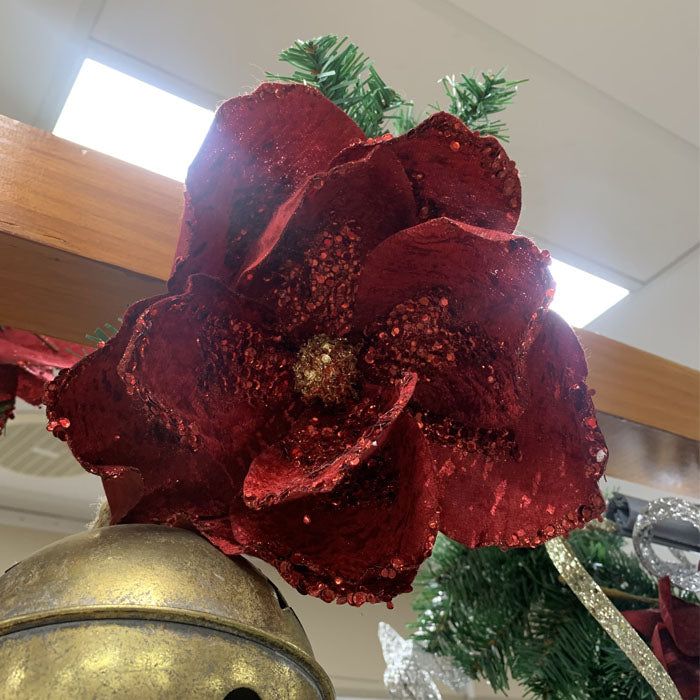 Red Christmas Flower