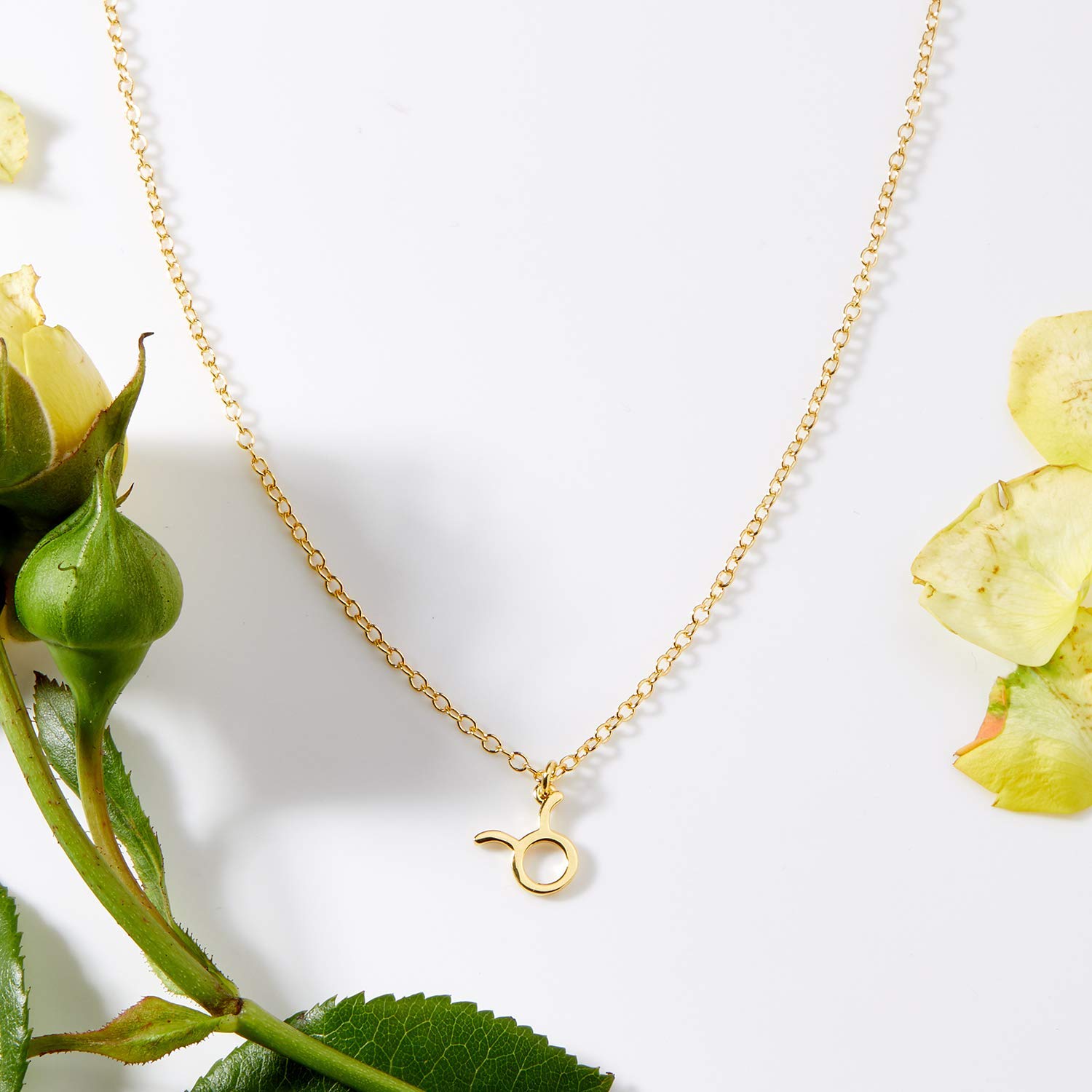 Dear Ava May Necklace - Elegant Birthday Gift for Women, Anniversary & Special Occasions | Perfect Jewelry Present for Her, Mom, Wife or Girlfriend | Ideal for Date Nights, Parties & Celebrations