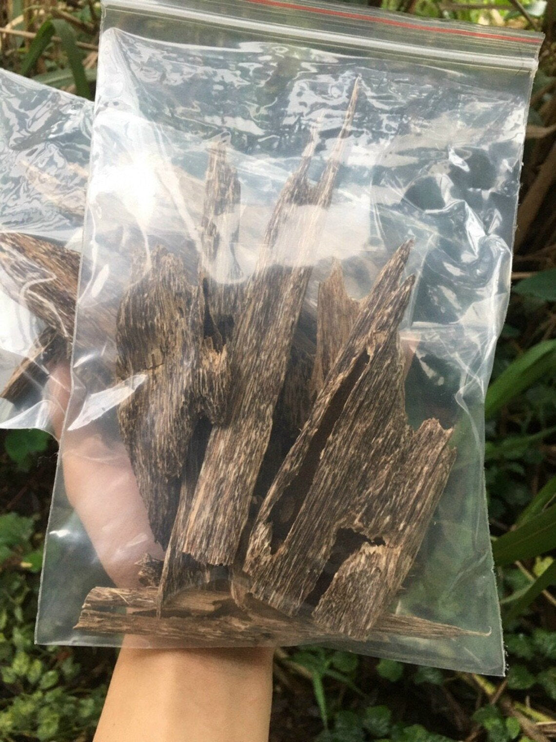Premium Wild Agarwood Chips - 100% Natural Aloeswood Incense from Vietnam (Grade A++) | 10g Pure Oud Wood for Meditation, Aromatherapy & Spiritual Healing | Directly Sourced from Quang Nam Province