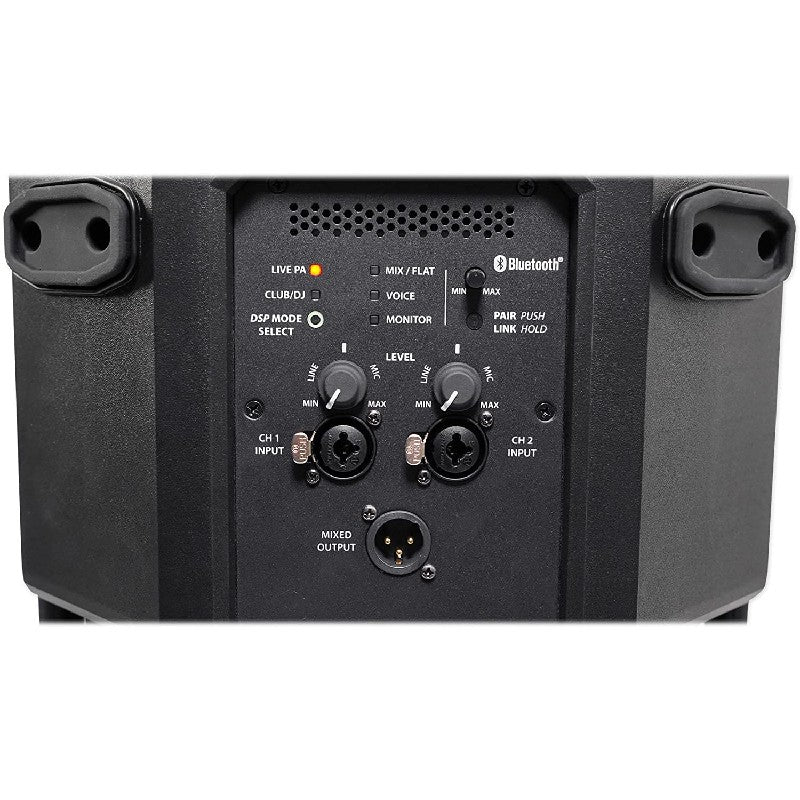 Cerwin Vega CVE 10 10