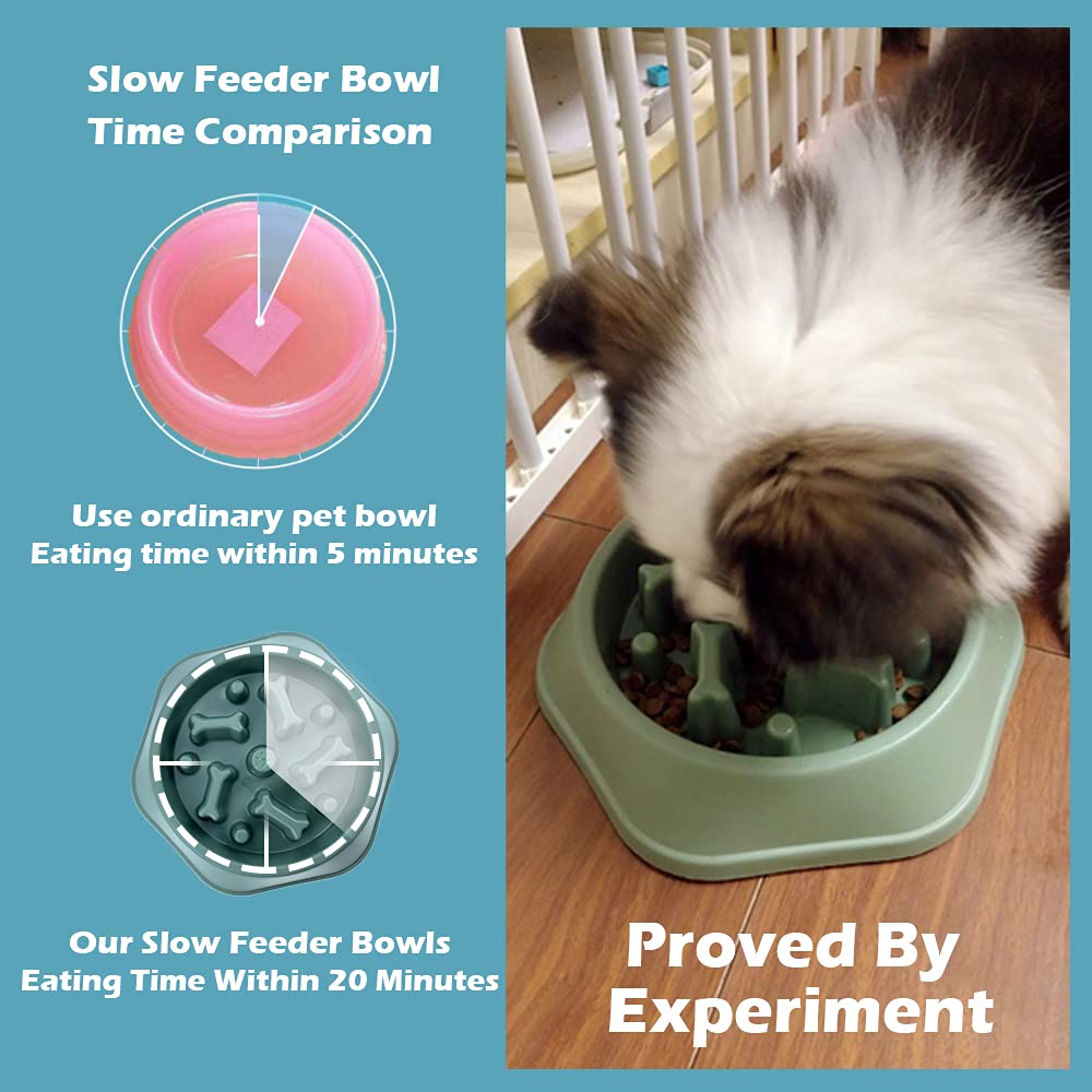 CAISHOW Slow Feeder Dog Bowl - Anti-Gulping Pet Food Dish for Healthy Eating, Bloat Prevention & Mental Stimulation | Non-Slip Interactive Design for Small & Medium Dogs | Perfect for Fast Eaters, Mealtime Enrichment & Digestive Health