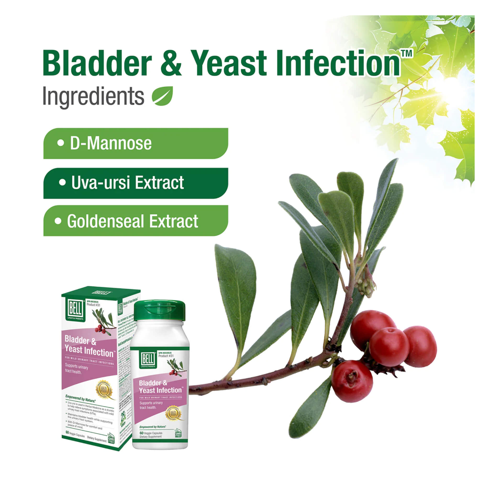 Bladder & Yeast Infection Relief - Natural Supplement for Urinary Tract Health | Supports Women's Wellness & Comfort | Perfect for Daily Use & Travel