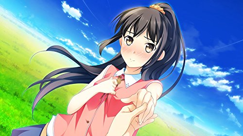 If My Heart Had Wings CRUISE SIGN Limited Edition Japanese Visual Novel - Romantic Adventure Game for PC & Mac | Perfect for Anime Fans & Dating Sim Lovers