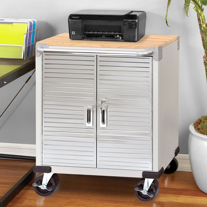 UltraHD® 2 Door Rolling Cabinet - Heavy Duty Mobile Storage for Tools & Equipment | Garage, Workshop & Office Organization Solution