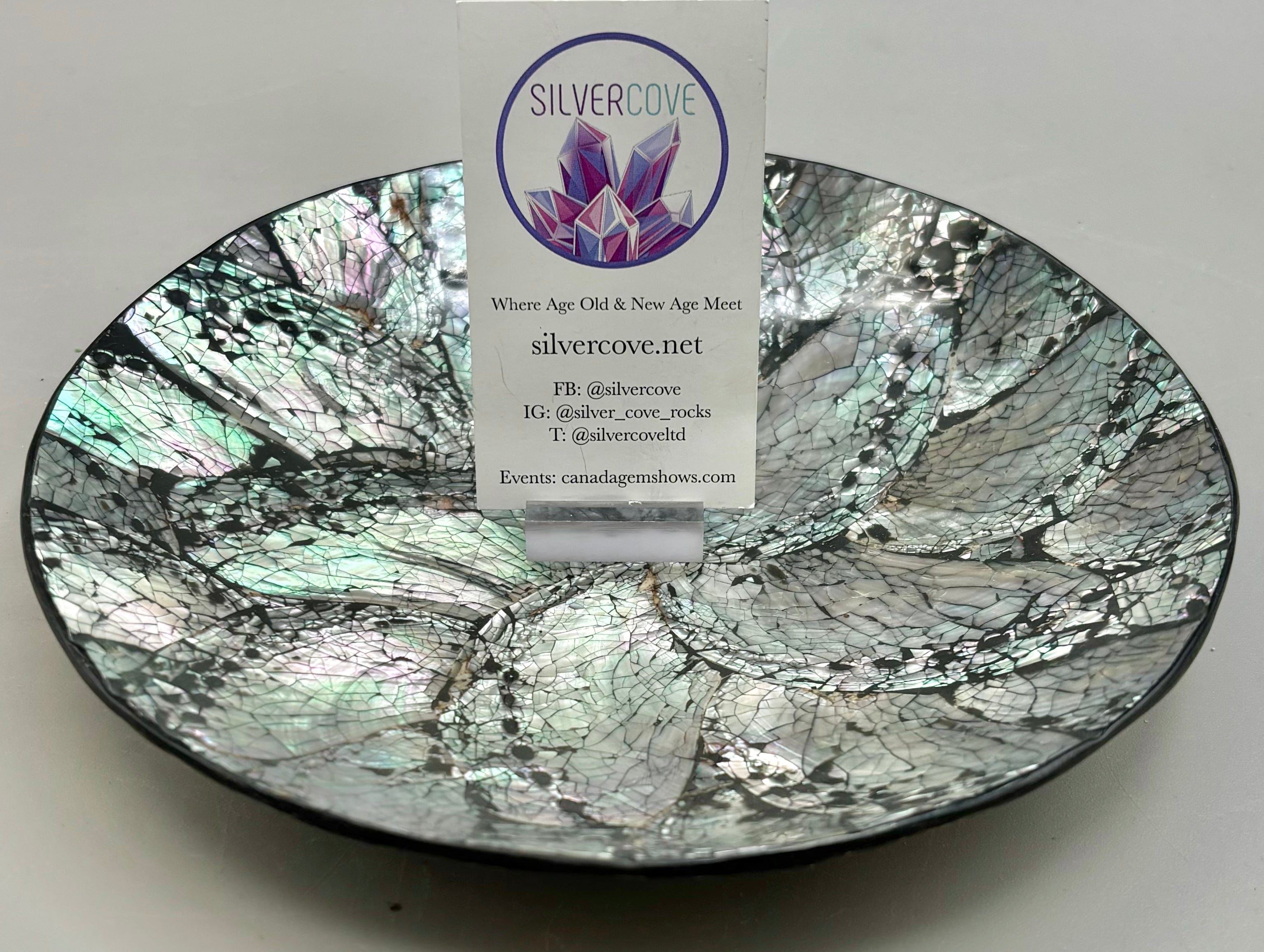 Premium Australian Abalone Shell Plate - Small Size | Eco-Friendly & Elegant Serving Dish for Seafood, Sushi, Appetizers & Home Decor