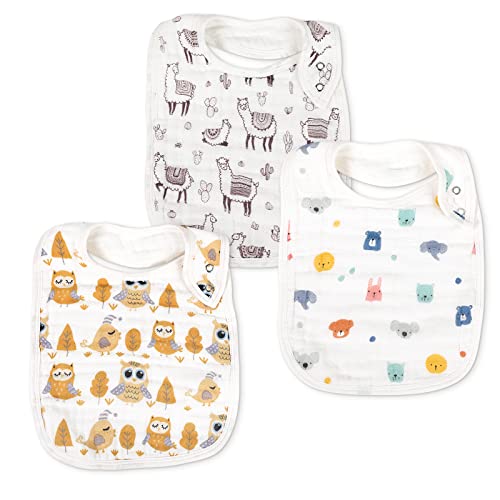 Owl,bear,alpaca
