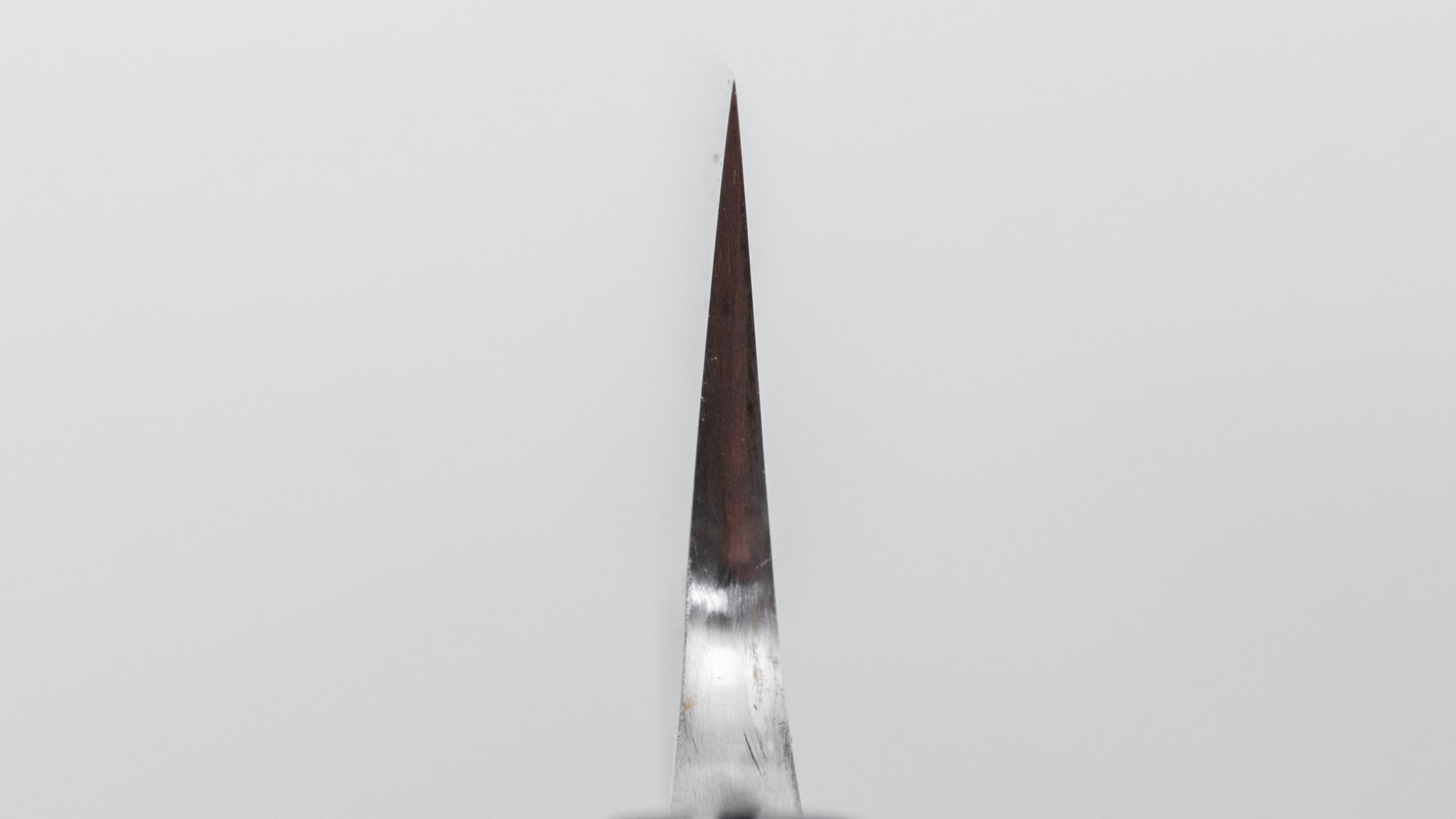 Premium Jiro Tsuchime Sujihiki 210mm Japanese Slicing Knife - Taihei Tagayasan Handle (#661) - Perfect for Sushi, Sashimi & Meat Carving