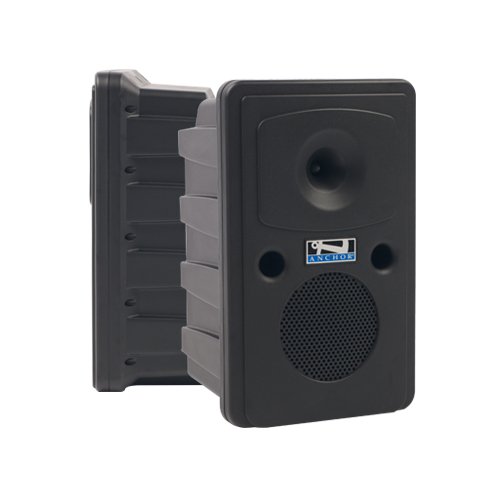 Anchor Audio Go Getter Dual Deluxe PA System with 2 Wireless Handheld Microphones - Perfect for Outdoor Events, Live Performances & Public Speaking