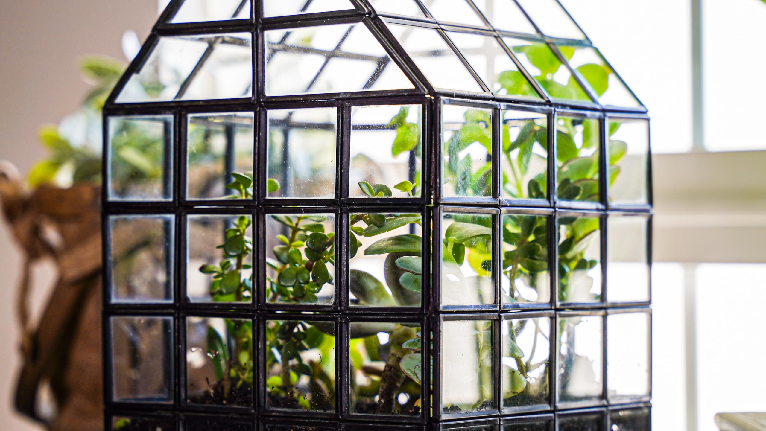 Large Glass Terrarium with Lattice Design - 12