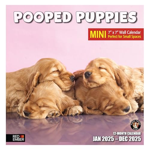 01A - Pooped Puppies