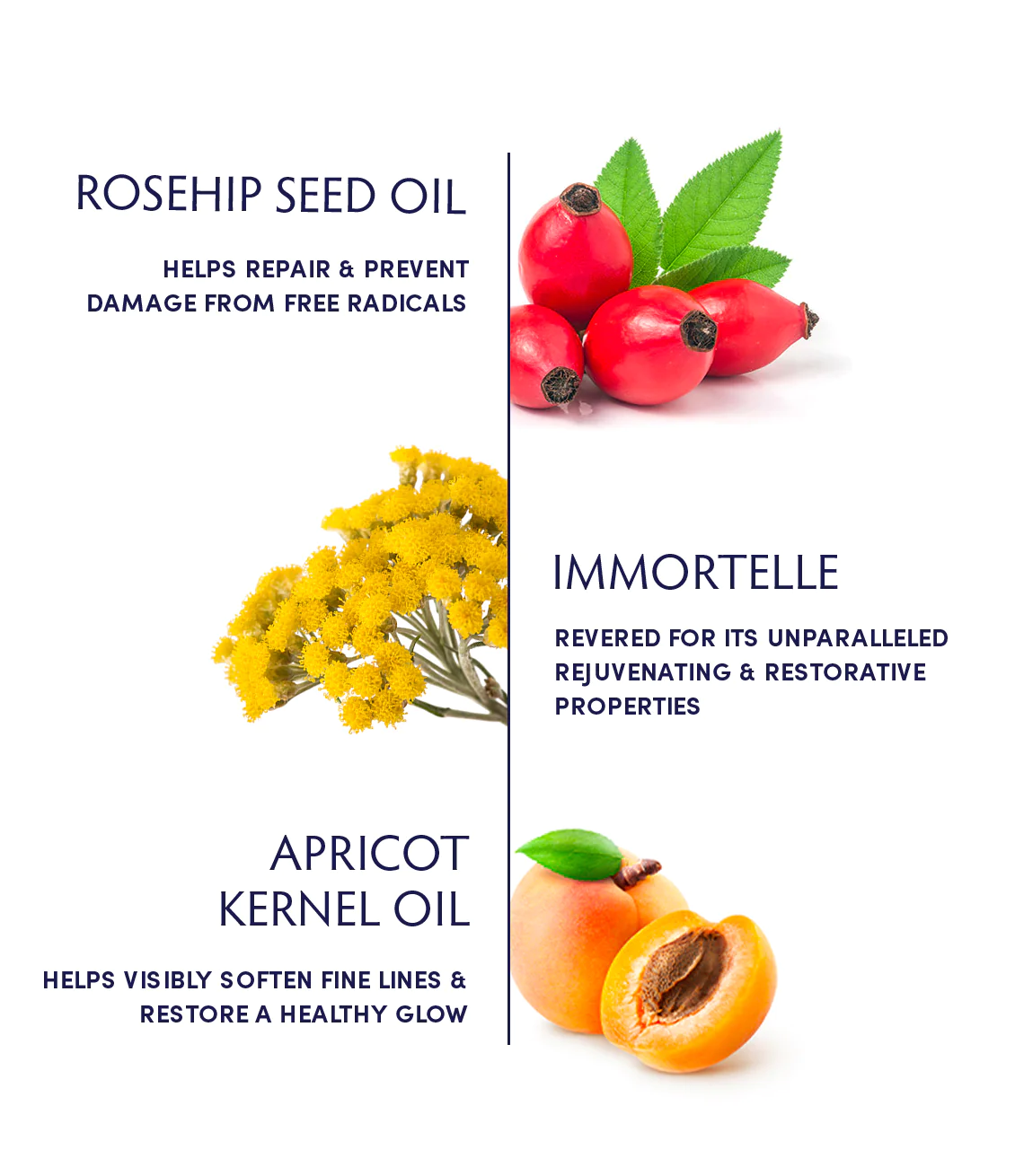 Naturopathica Rosehip Seed & Immortelle Regenerating Facial Oil - Organic Anti-Aging Face Serum for Dry Skin, Wrinkles & Fine Lines - Perfect for Night Routine & Daily Hydration