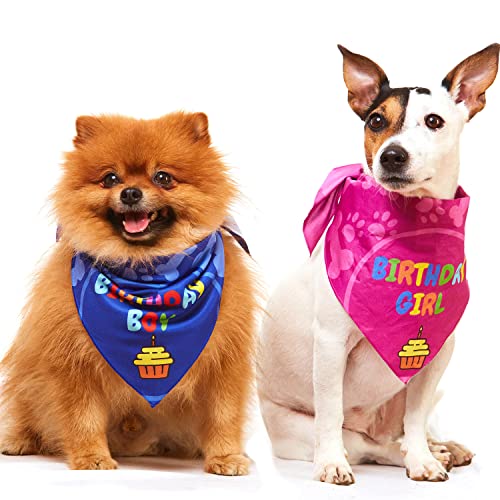 Dog Birthday Bandana, 2 Pack