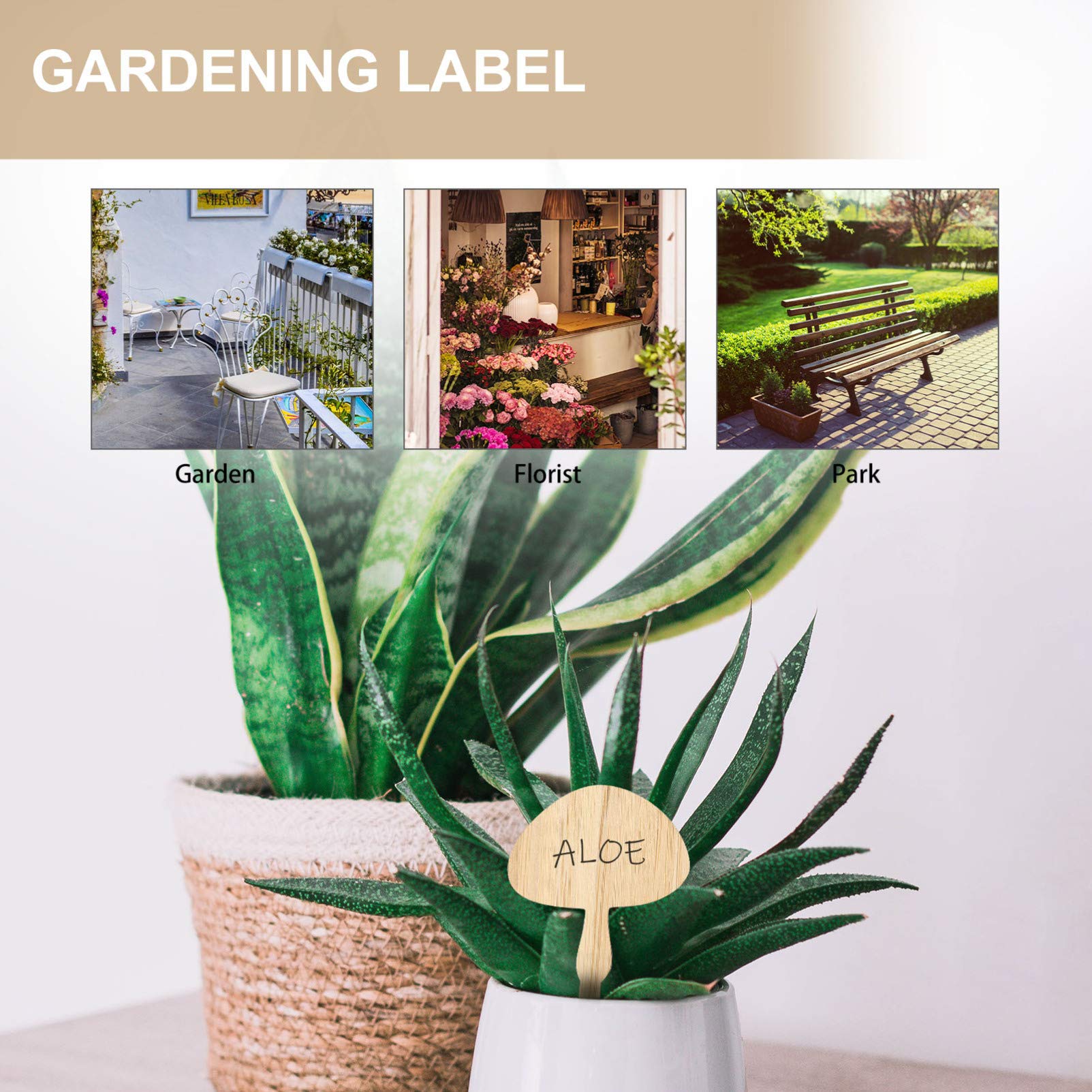 30pcs Bamboo Plant Markers - Reusable Garden Labels for Succulents, Flowers & Herbs | Perfect for Indoor/Outdoor Gardening, Seed Starting & Plant Organization