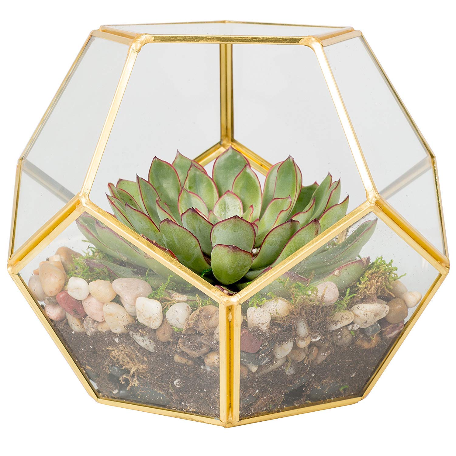 D'Eco Glass Geometric Plant Terrarium - 8.2 Inch Gold Sphere Planter for Succulents, Air Plants & Moss - Modern Indoor Tabletop Decor for Home, Office or Gift - Perfect for Plant Lovers (Terrarium Only) | Great for Windowsills, Desks, Shelves & Coffee Tables