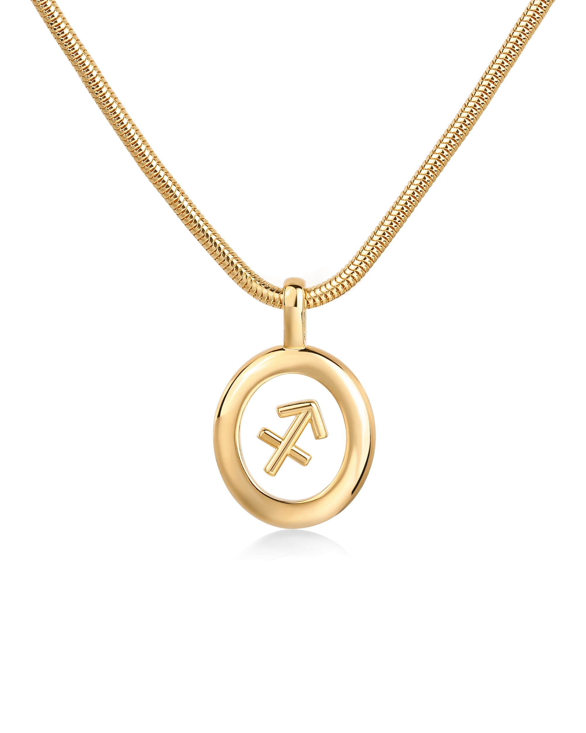 PAVOI 14K Gold Plated Zodiac Pendant Necklace for Women - Dainty Horoscope Charm Necklace - Unique Astrology Jewelry Gift for Birthday, Anniversary & Everyday Wear