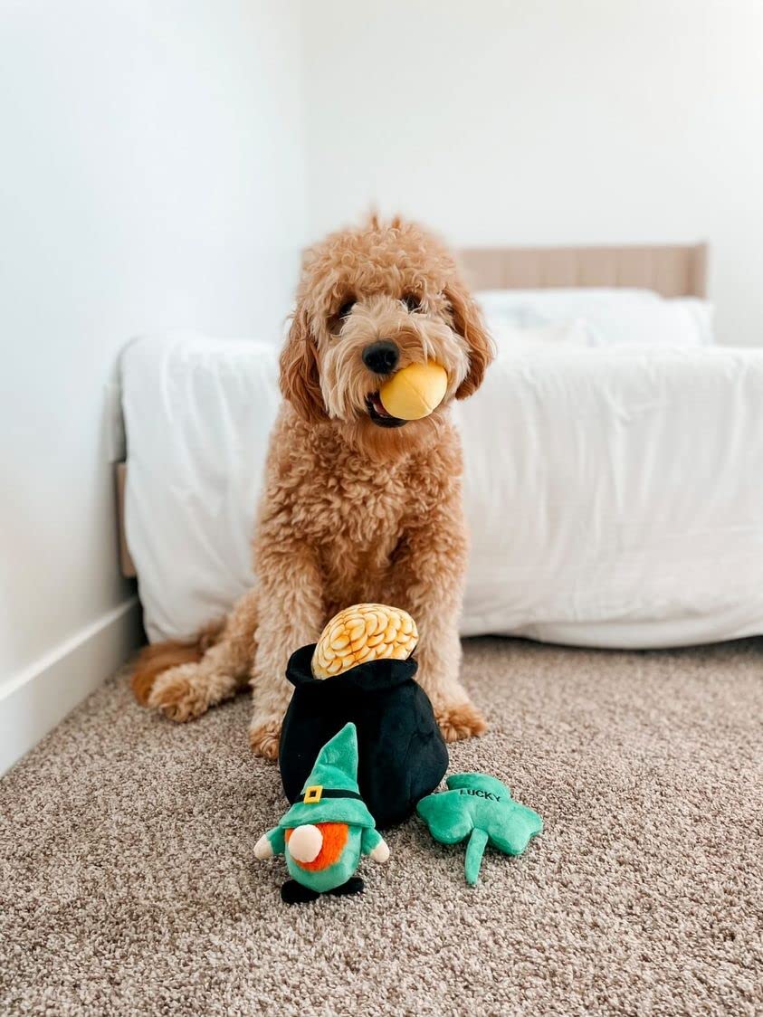 Midlee Hide-A-Toy Pot of Gold St. Patrick's Day Interactive Dog Toy - Fun Puzzle Game for Dogs with Treat Dispenser - Perfect for Training, Playtime & Irish Themed Pet Parties