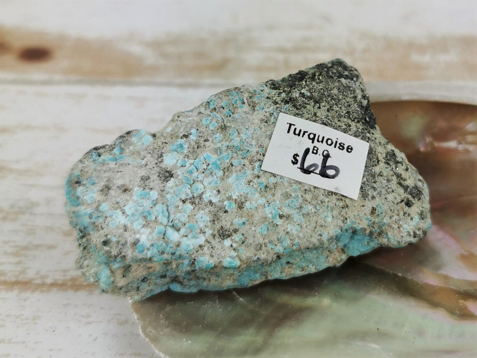 Natural B.C. Turquoise Specimens - Genuine British Columbia Turquoise Stones for Jewelry Making, Mineral Collection & Home Decor