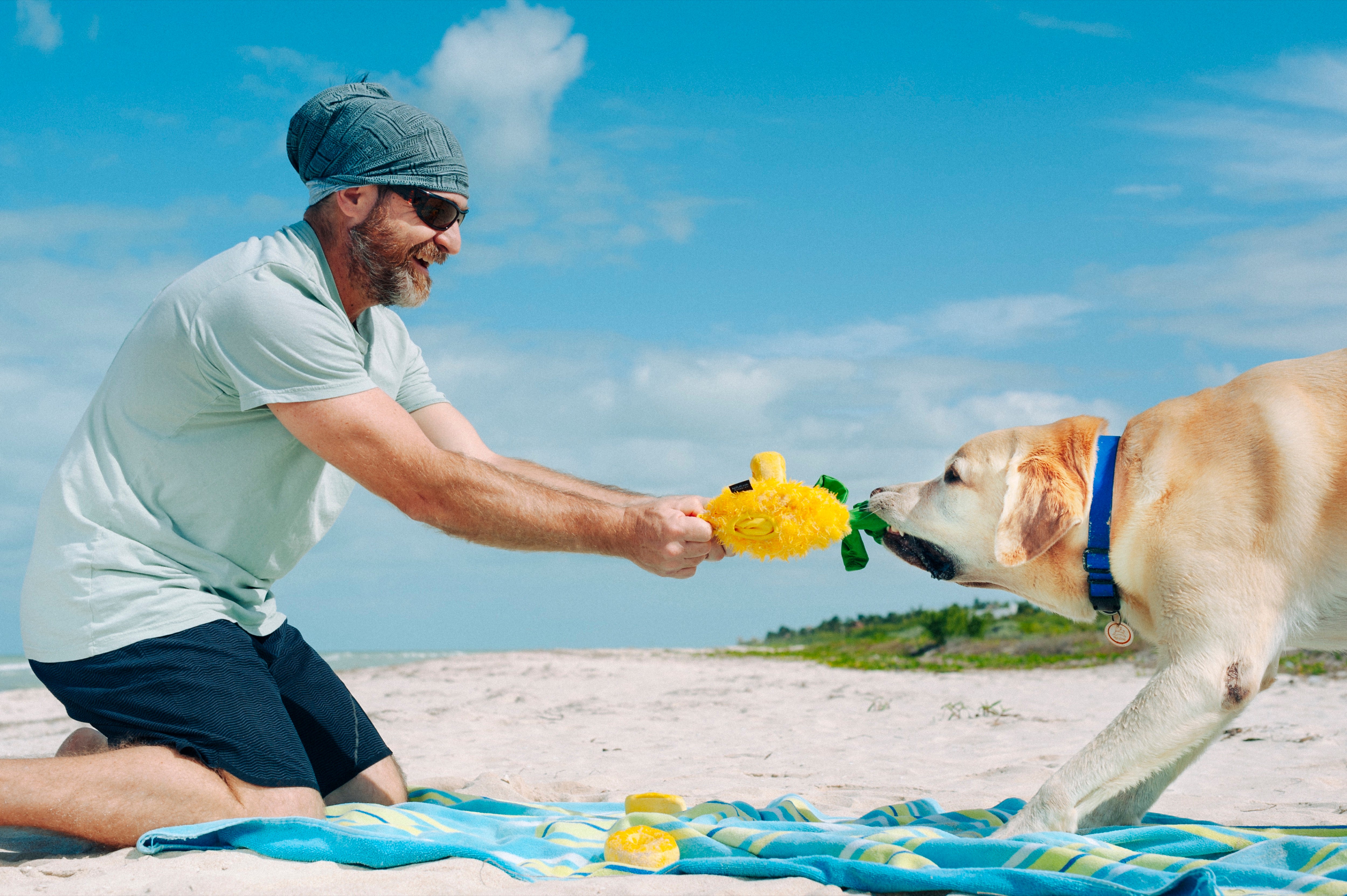 Tropical Paradise™ Dog Plush Toy - La Piña Chew Toy for Dogs | Soft & Durable Pet P.L.A.Y. Puppy Toy | Perfect for Playtime, Training & Cuddling
